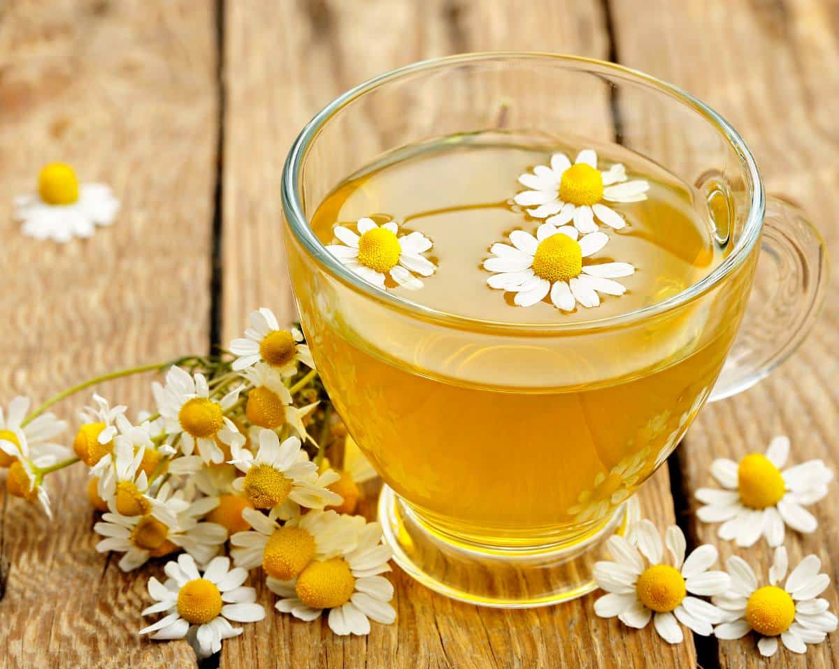 les 10 bienfaits de la camomille