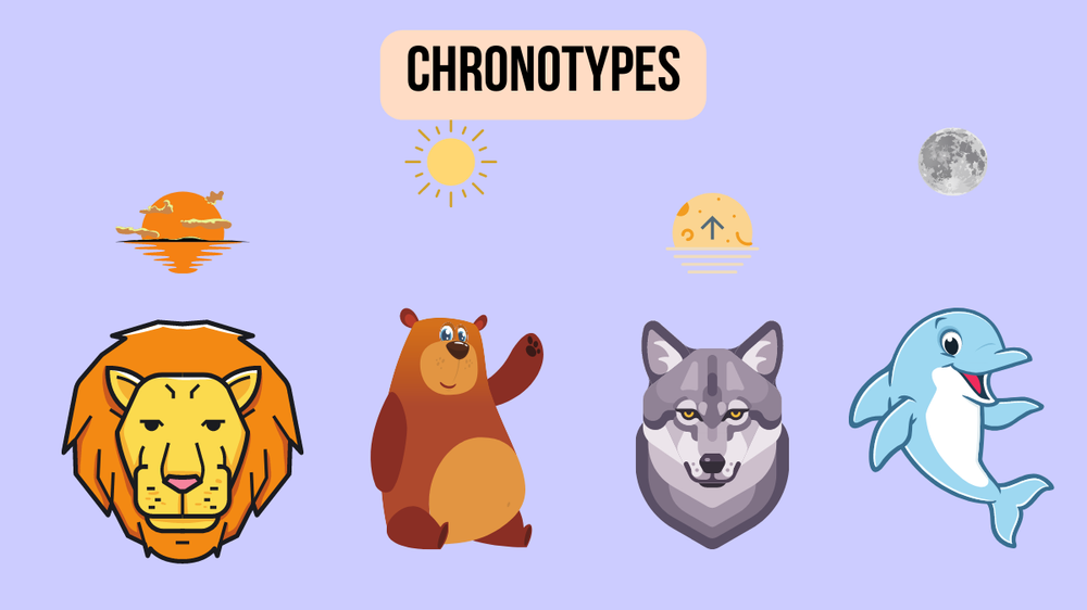 chronotype quiz