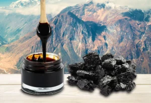 c'est quoi le shilajit